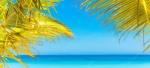 Awesome Expedia Coupons For Travelers: Find All The Special Deals Here!